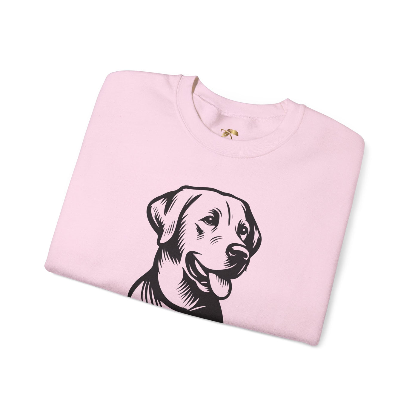 Labrador Lover Sweatshirt, Pet's Name Personalized, Labrador Dog Owner Apparel, Custom Dog Paw Print Jumper, Comfy Crewneck - NOTALIFY
