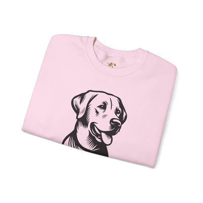 Labrador Lover Sweatshirt, Pet's Name Personalized, Labrador Dog Owner Apparel, Custom Dog Paw Print Jumper, Comfy Crewneck - NOTALIFY