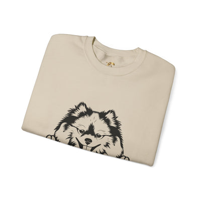Pomeranian Lover Sweatshirt, Pet's Name Personalized Gift Idea, Pomeranian Dog Owner Apparel, Custom Dog Paw Print Jumper, Comfy Crewneck - NOTALIFY