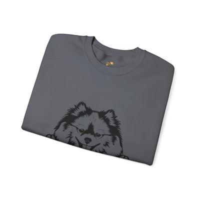 Pomeranian Lover Sweatshirt, Pet's Name Personalized Gift Idea, Pomeranian Dog Owner Apparel, Custom Dog Paw Print Jumper, Comfy Crewneck - NOTALIFY