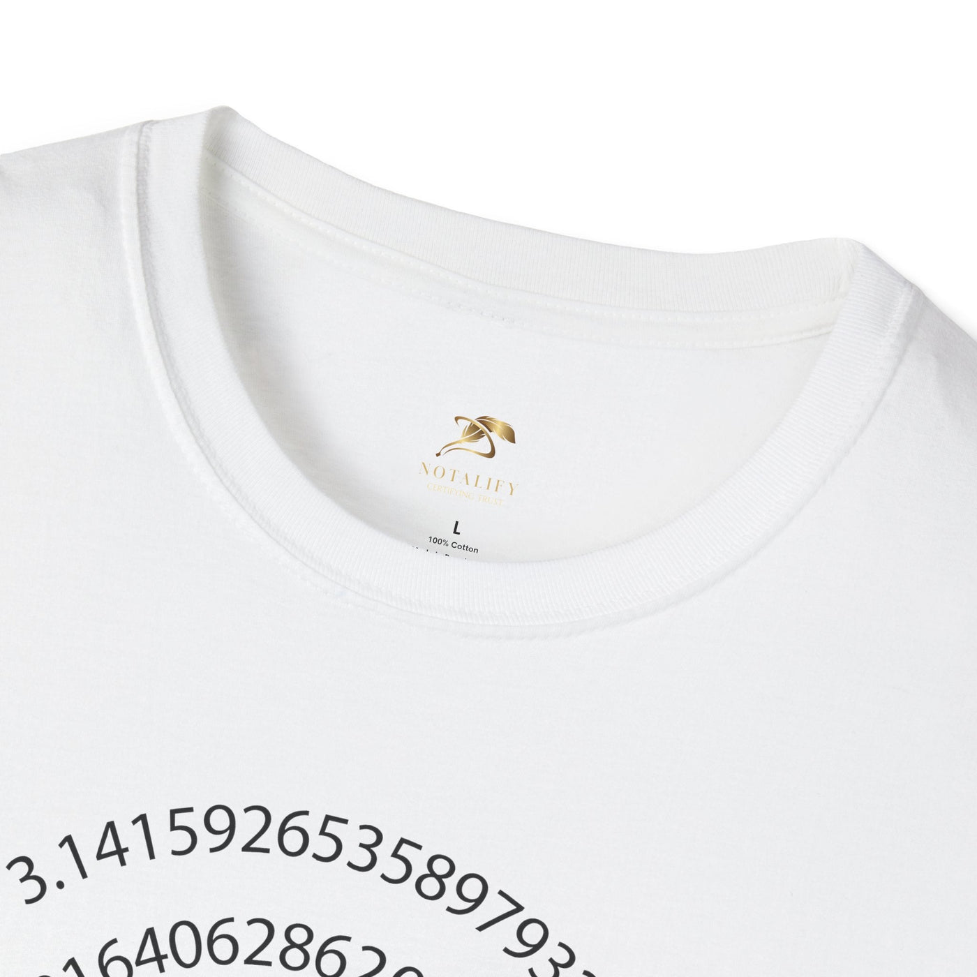 Pi Day Unisex Softstyle T-Shirt, Math Geek Gift, Irrationally Awesome 