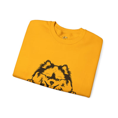 Pomeranian Lover Sweatshirt, Pet's Name Personalized Gift Idea, Pomeranian Dog Owner Apparel, Custom Dog Paw Print Jumper, Comfy Crewneck - NOTALIFY