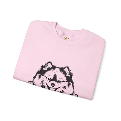 Pomeranian Lover Sweatshirt, Pet's Name Personalized Gift Idea, Pomeranian Dog Owner Apparel, Custom Dog Paw Print Jumper, Comfy Crewneck - NOTALIFY