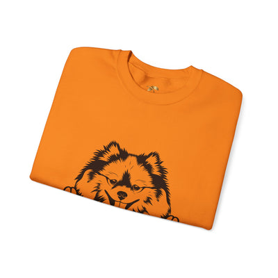 Pomeranian Lover Sweatshirt, Pet's Name Personalized Gift Idea, Pomeranian Dog Owner Apparel, Custom Dog Paw Print Jumper, Comfy Crewneck - NOTALIFY