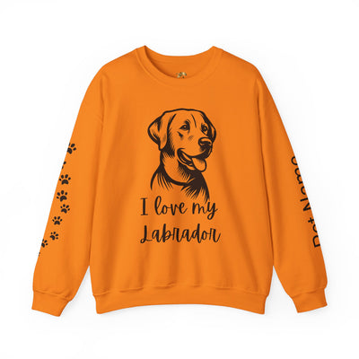 Labrador Lover Sweatshirt, Pet's Name Personalized, Labrador Dog Owner Apparel, Custom Dog Paw Print Jumper, Comfy Crewneck - NOTALIFY