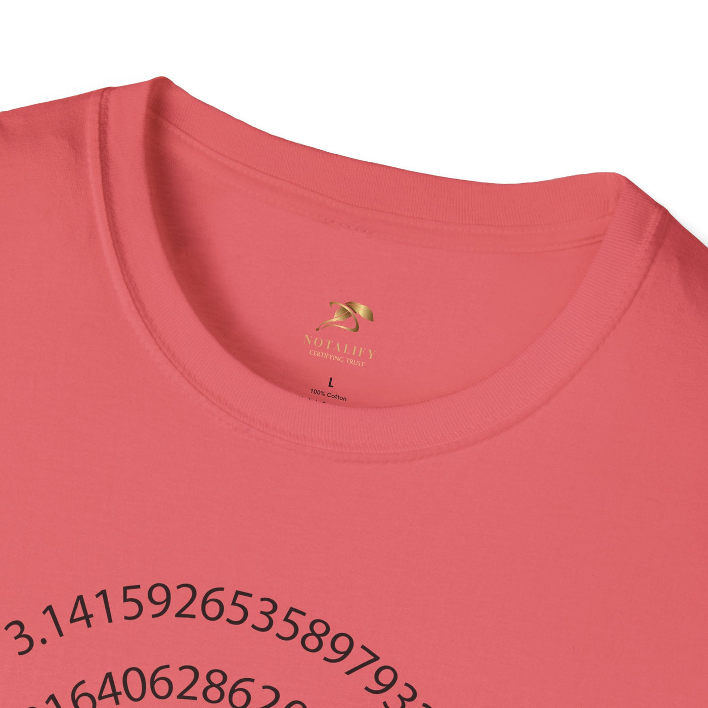Pi Day Unisex Softstyle T-Shirt, Math Geek Gift, Irrationally Awesome 