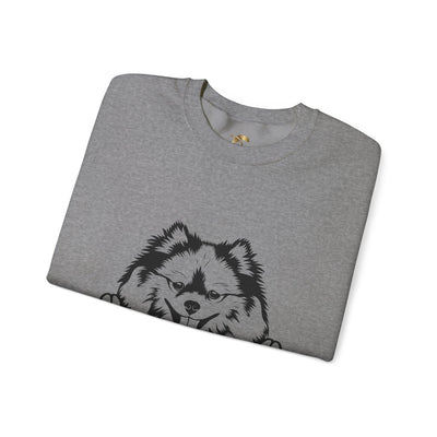 Pomeranian Lover Sweatshirt, Pet's Name Personalized Gift Idea, Pomeranian Dog Owner Apparel, Custom Dog Paw Print Jumper, Comfy Crewneck - NOTALIFY
