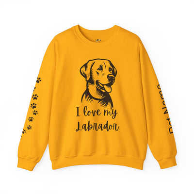 Labrador Lover Sweatshirt, Pet's Name Personalized, Labrador Dog Owner Apparel, Custom Dog Paw Print Jumper, Comfy Crewneck - NOTALIFY