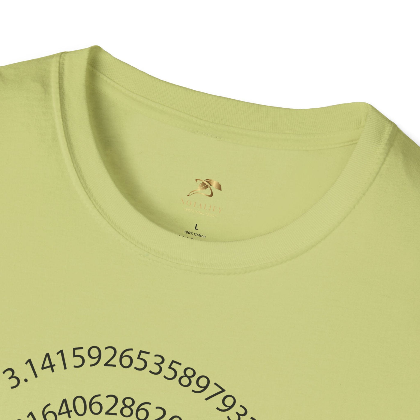 Pi Day Unisex Softstyle T-Shirt, Math Geek Gift, Irrationally Awesome 