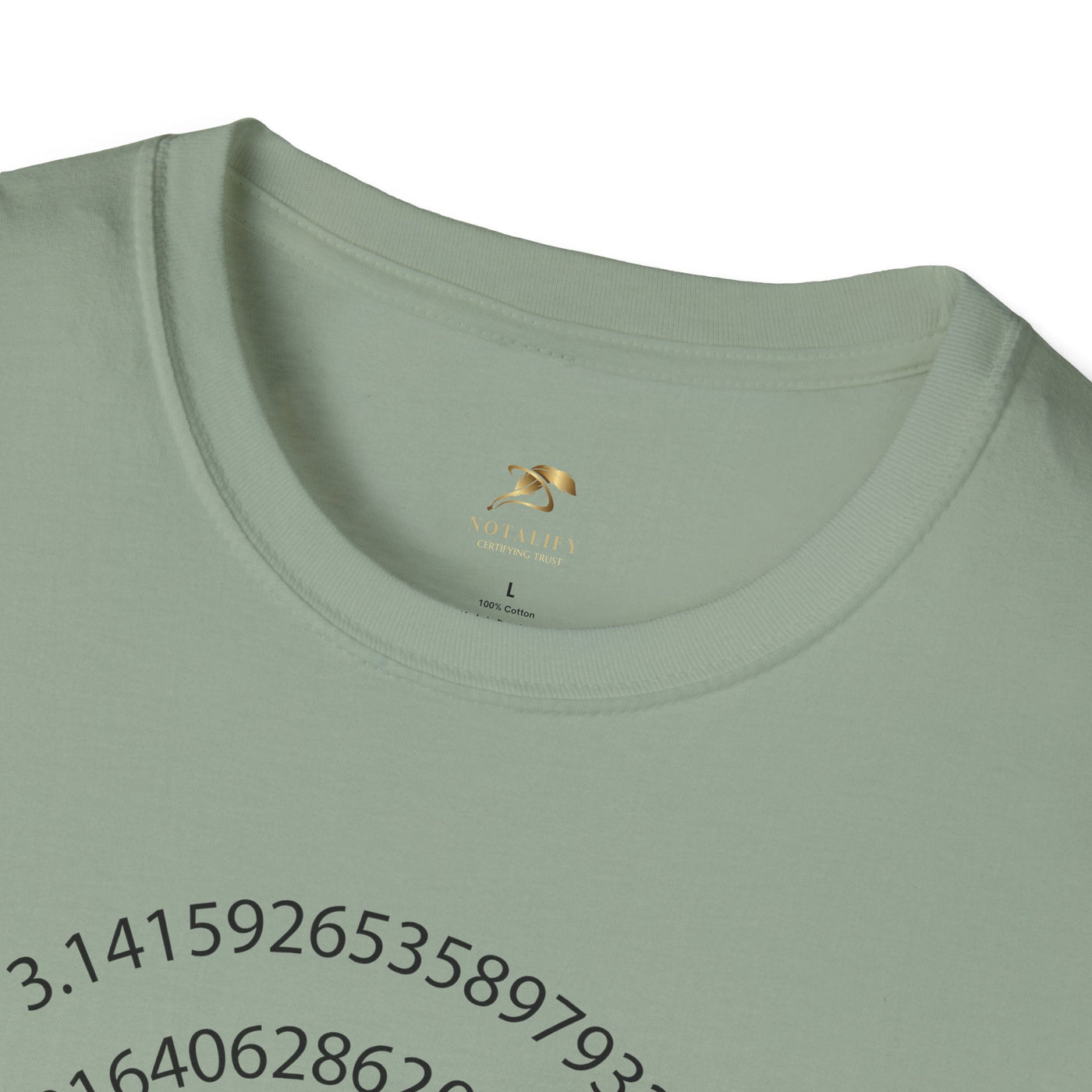 Pi Day Unisex Softstyle T-Shirt, Math Geek Gift, Irrationally Awesome 