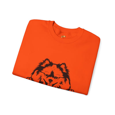Pomeranian Lover Sweatshirt, Pet's Name Personalized Gift Idea, Pomeranian Dog Owner Apparel, Custom Dog Paw Print Jumper, Comfy Crewneck - NOTALIFY