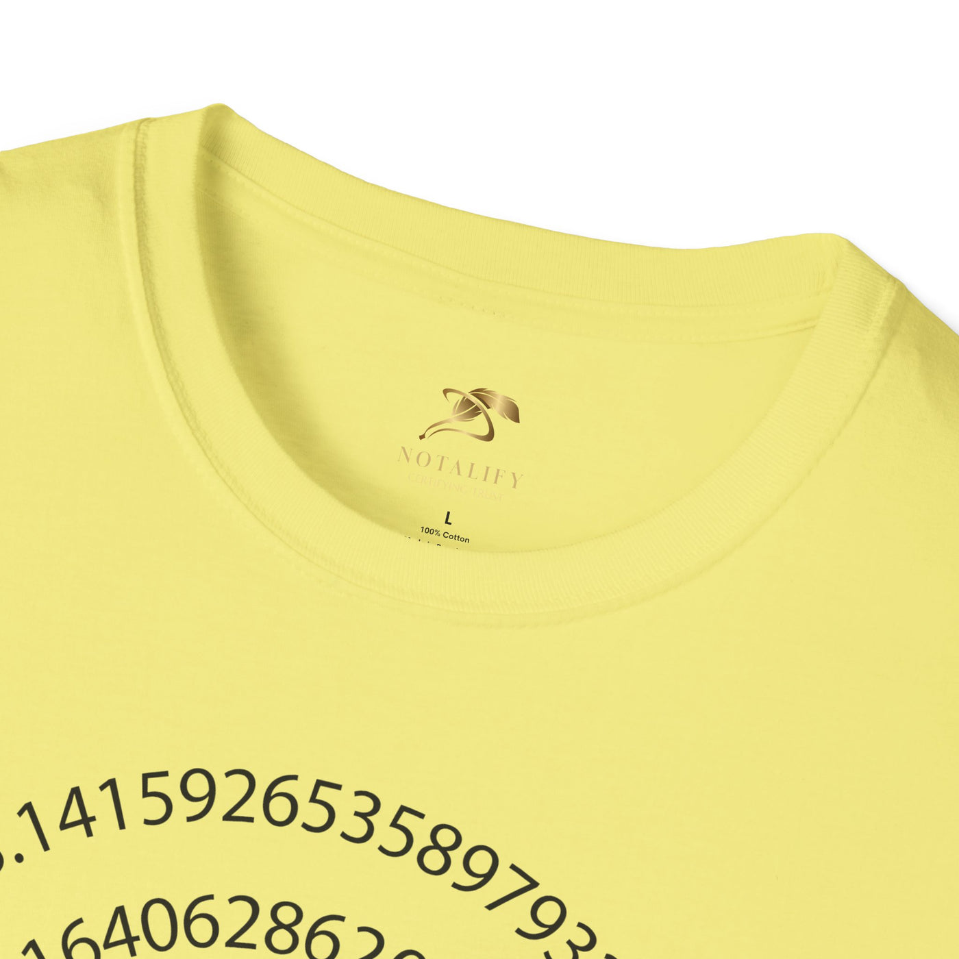 Pi Day Unisex Softstyle T-Shirt, Math Geek Gift, Irrationally Awesome Tee, March 14 Celebration Shirt, Mathematics Lover Top - NOTALIFY
