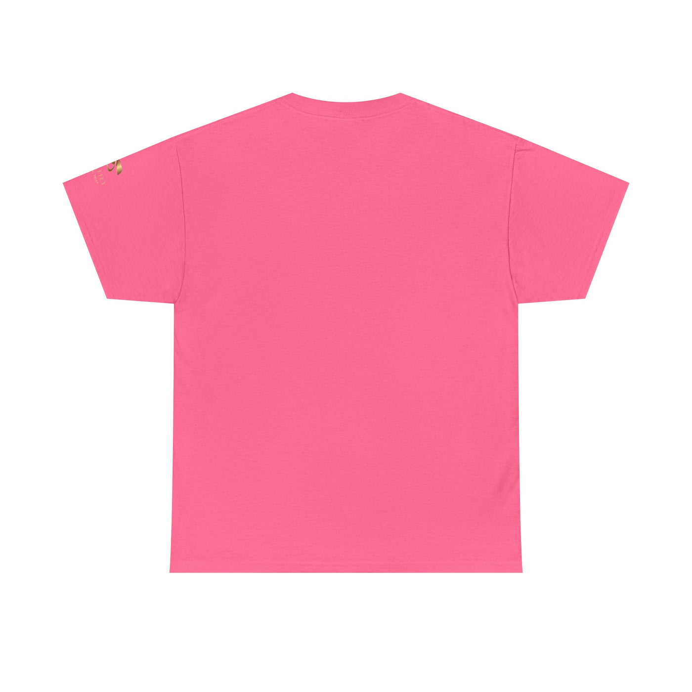 Maternity T-Shirt, Future Mama Bear, Training in Progress, Pregnancy A