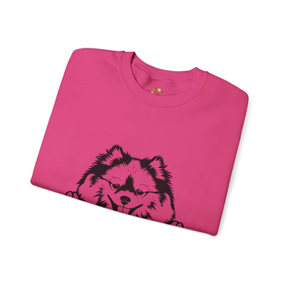 Pomeranian Lover Sweatshirt, Pet's Name Personalized Gift Idea, Pomeranian Dog Owner Apparel, Custom Dog Paw Print Jumper, Comfy Crewneck - NOTALIFY